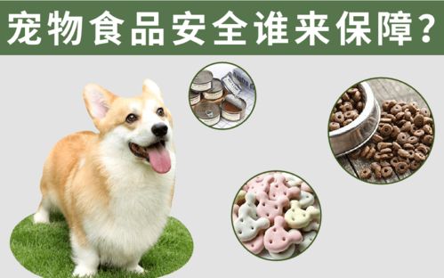 寵物食品安全誰來保障？