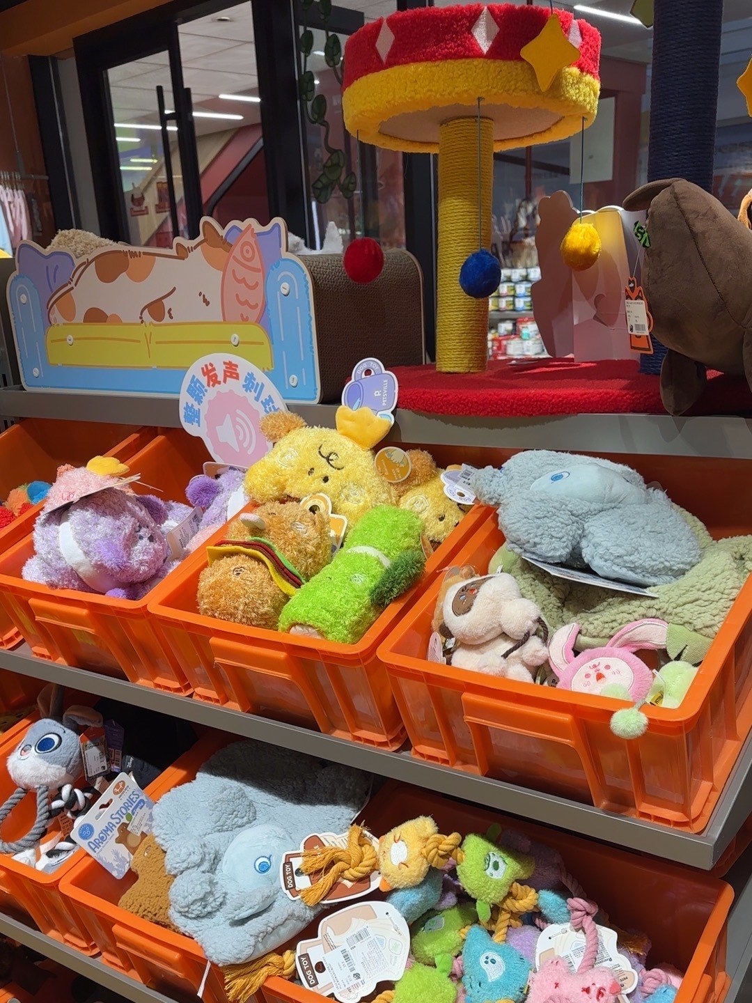 寵物超市中的寵食天地 品質(zhì)與環(huán)境的雙重保障