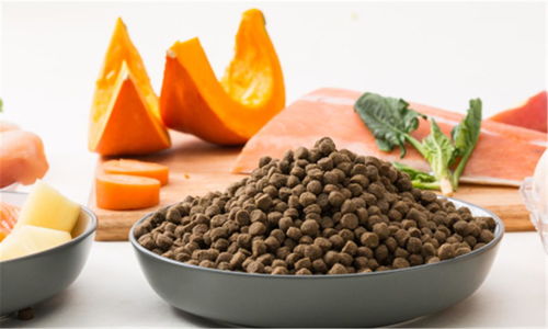 豆柴完成數千萬元A輪融資，金鼎資本領投，加速寵物食品市場布局